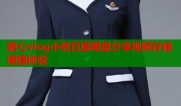 糖心vlog小桃百度网盘分享视频存储便捷体验